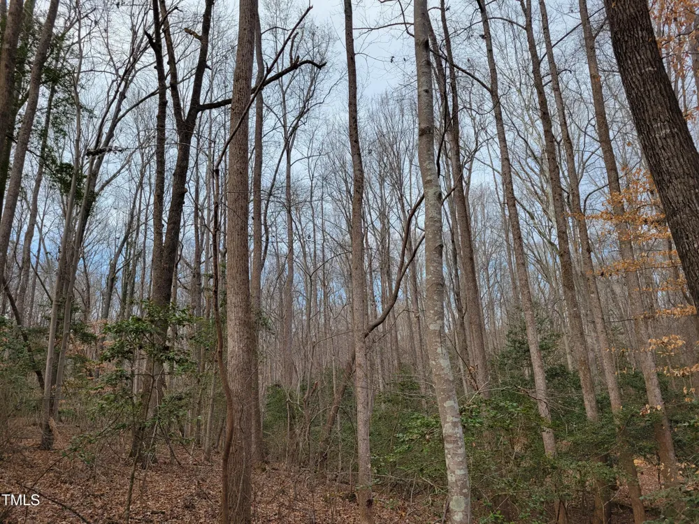 Tbd Siler City Snow Camp Road Siler City, NC 27344