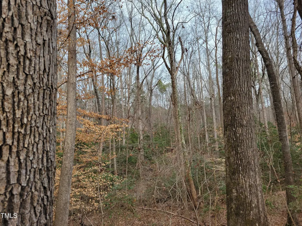 Tbd Siler City Snow Camp Road Siler City, NC 27344