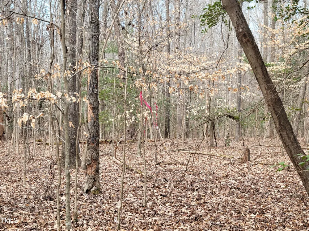 Tbd Siler City Snow Camp Road Siler City, NC 27344