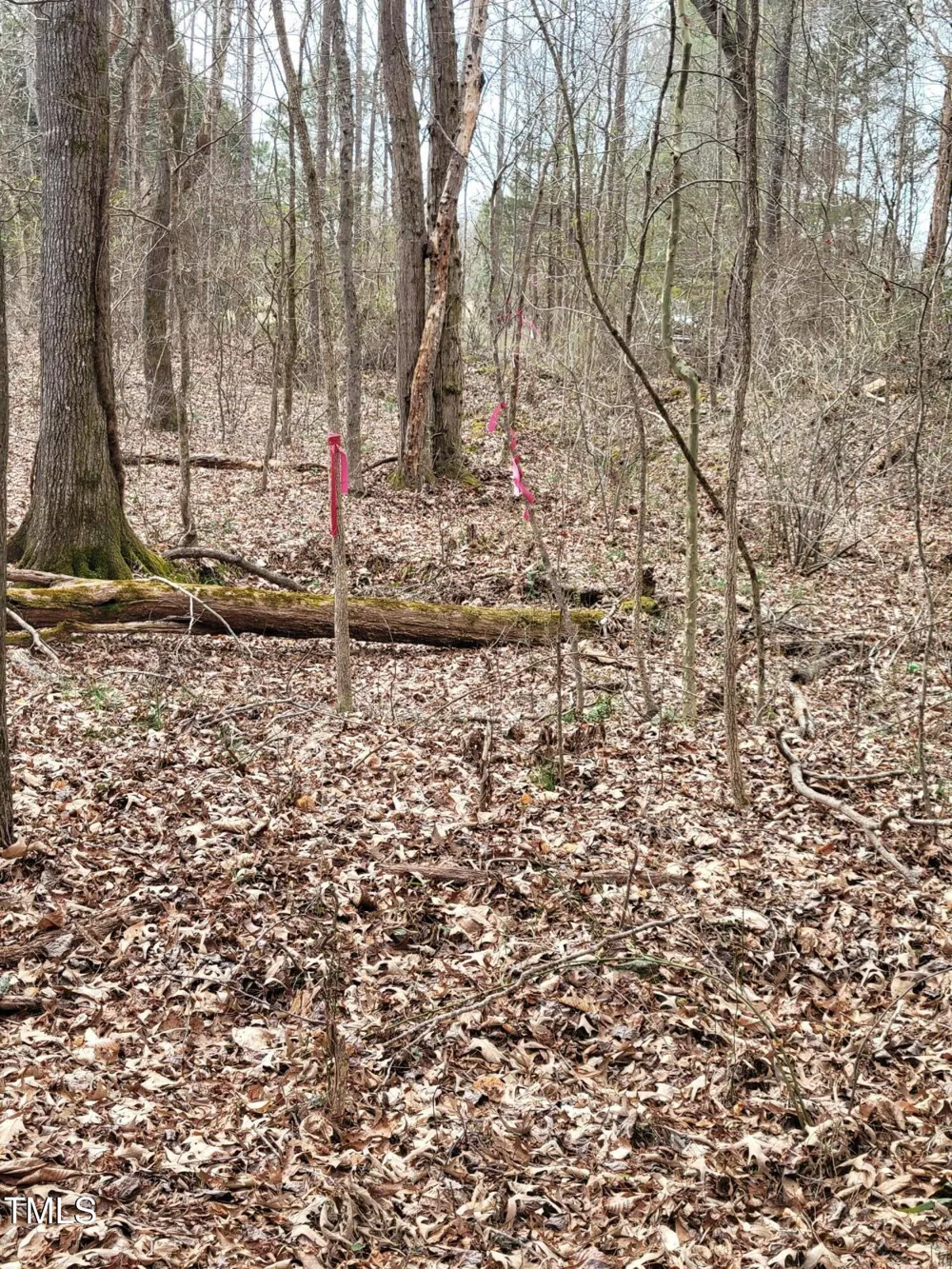 Tbd Siler City Snow Camp Road Siler City, NC 27344