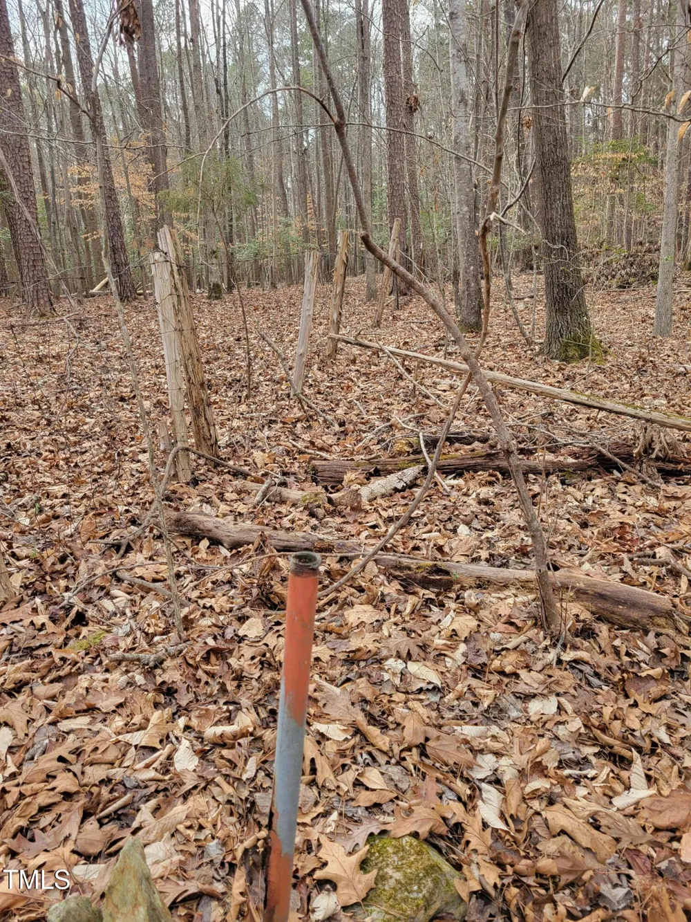 Tbd Siler City Snow Camp Road Siler City, NC 27344