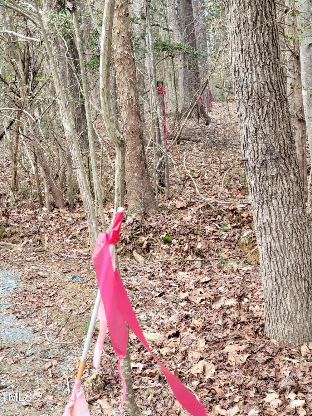Tbd Siler City Snow Camp Road Siler City, NC 27344