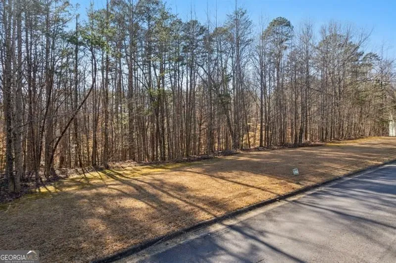 0 Honey Tree TER Dahlonega, GA 30533