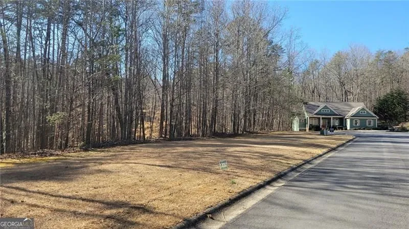 0 Honey Tree TER Dahlonega, GA 30533