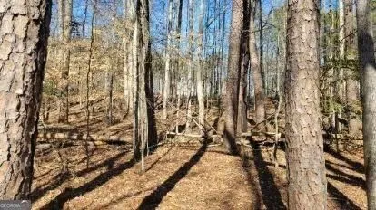 0 Honey Tree TER Dahlonega, GA 30533