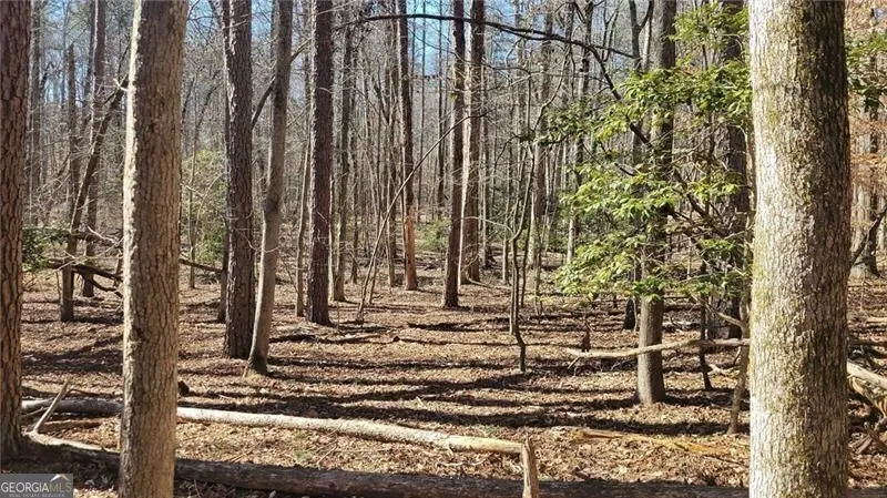 0 Honey Tree TER Dahlonega, GA 30533