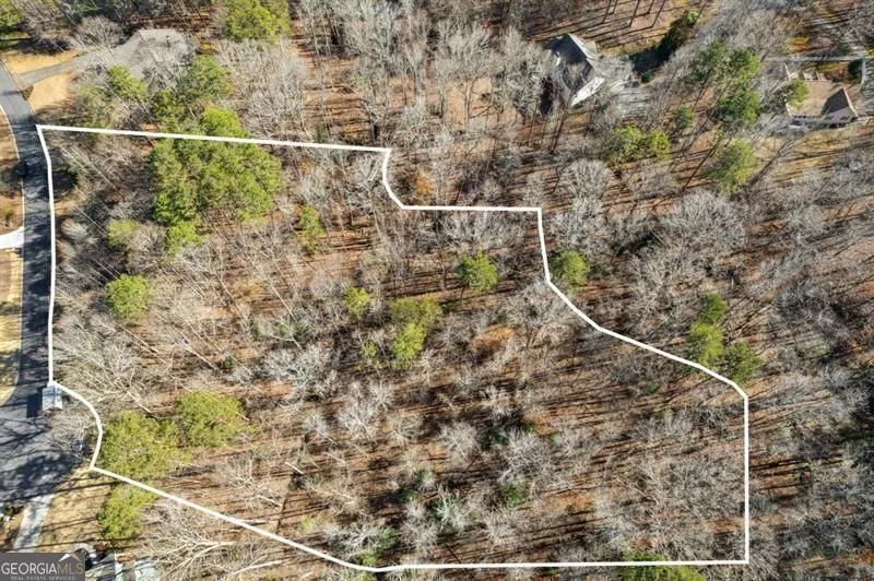 0 Honey Tree TER Dahlonega, GA 30533