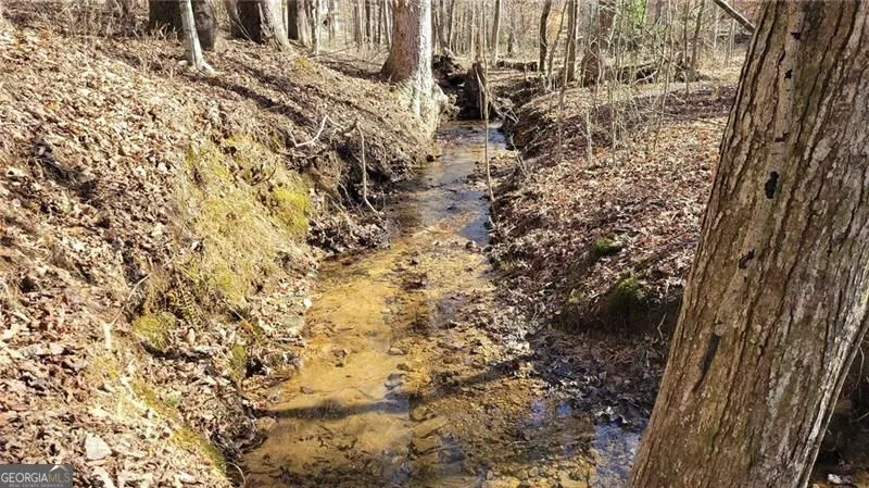 0 Honey Tree TER Dahlonega, GA 30533