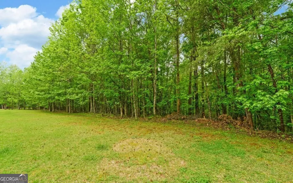 0 Honey Tree TER Dahlonega, GA 30533