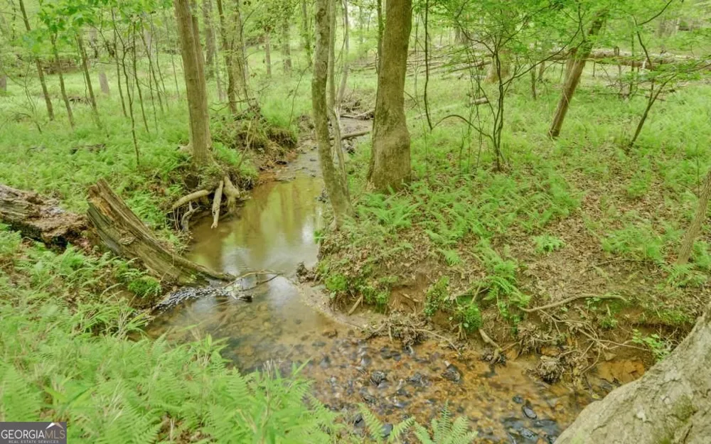 0 Honey Tree TER Dahlonega, GA 30533