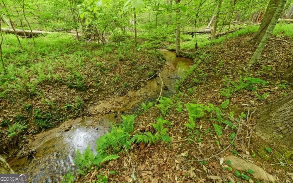 0 Honey Tree TER Dahlonega, GA 30533