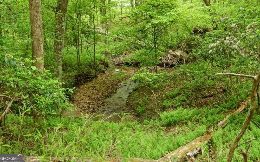 0 Honey Tree TER Dahlonega, GA 30533