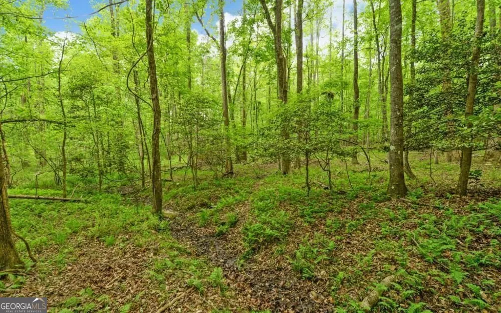 0 Honey Tree TER Dahlonega, GA 30533