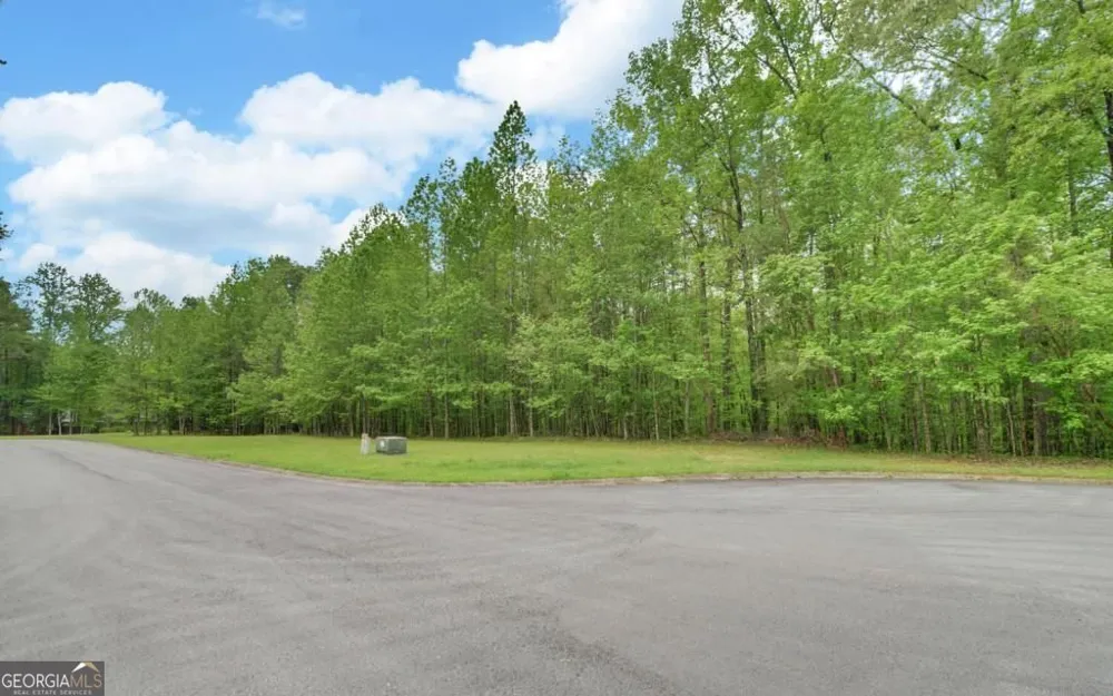 0 Honey Tree TER Dahlonega, GA 30533