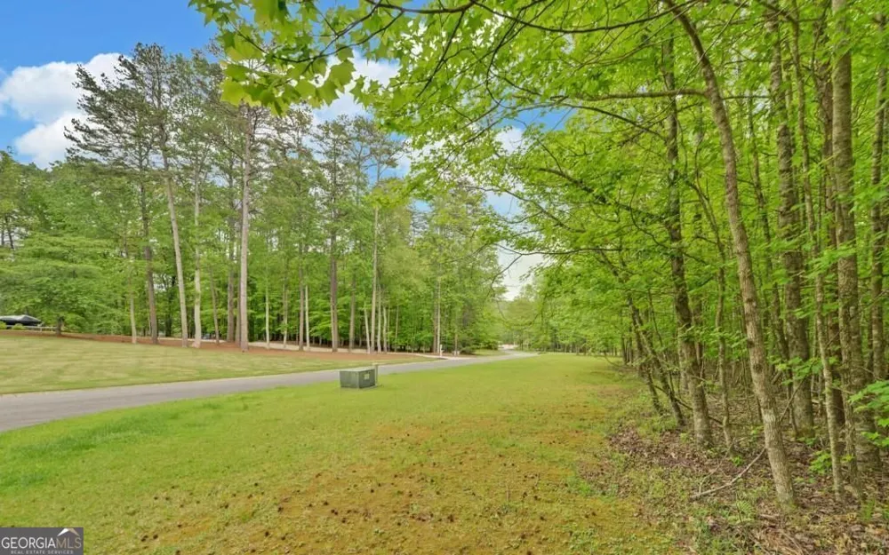 0 Honey Tree TER Dahlonega, GA 30533