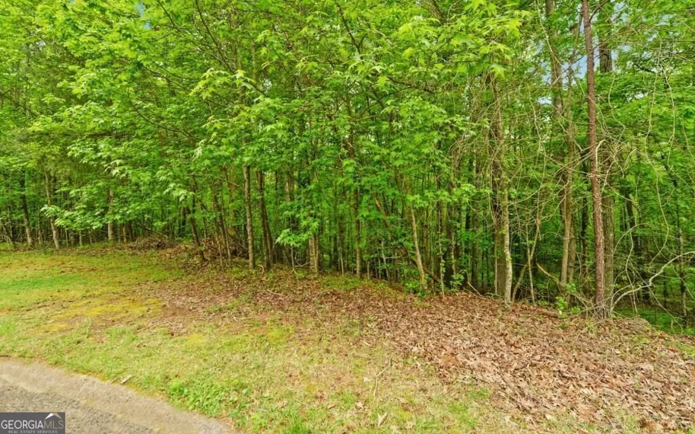 0 Honey Tree TER Dahlonega, GA 30533