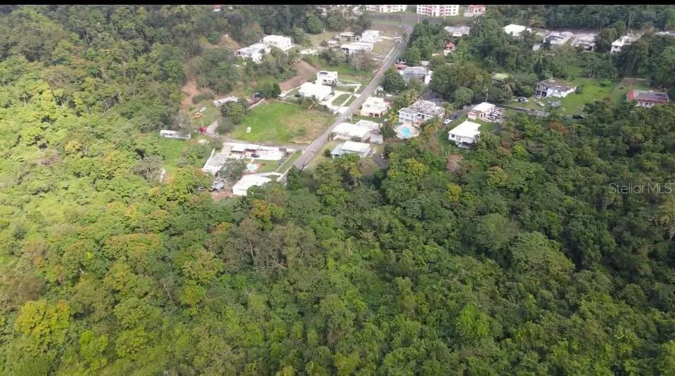 Rd. 859 Km. 1.5 BO. SANTA CRUZ Carolina, PR 00987
