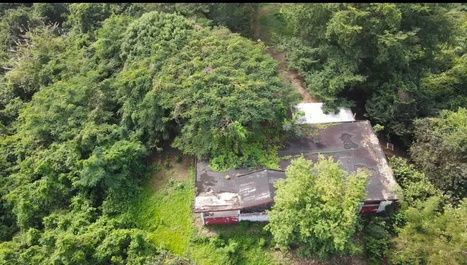 Rd. 859 Km. 1.5 BO. SANTA CRUZ Carolina, PR 00987