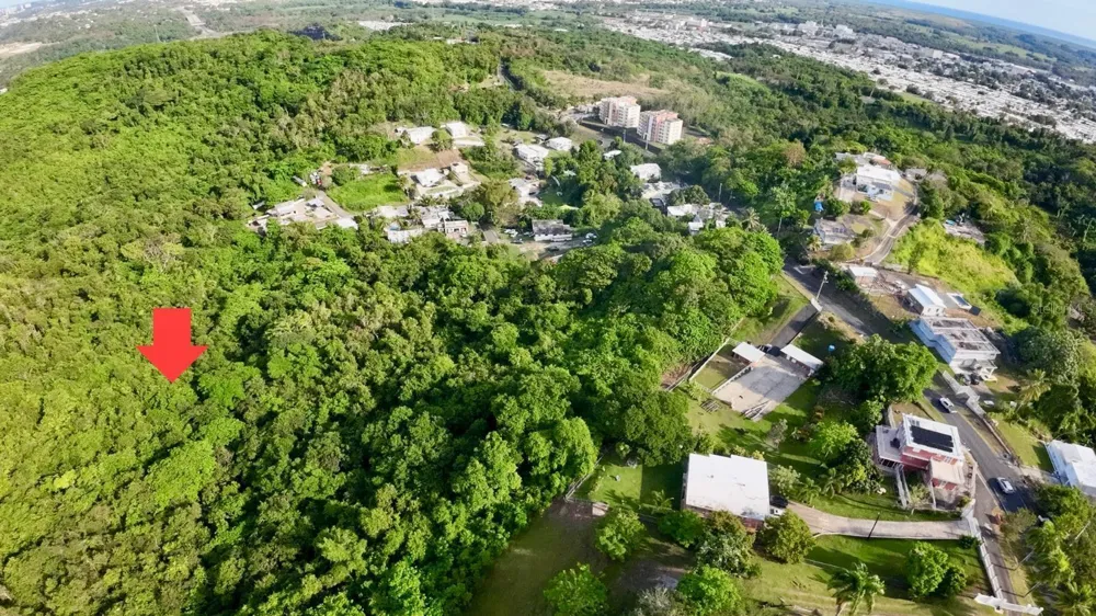 Rd. 859 Km. 1.5 BO. SANTA CRUZ Carolina, PR 00987