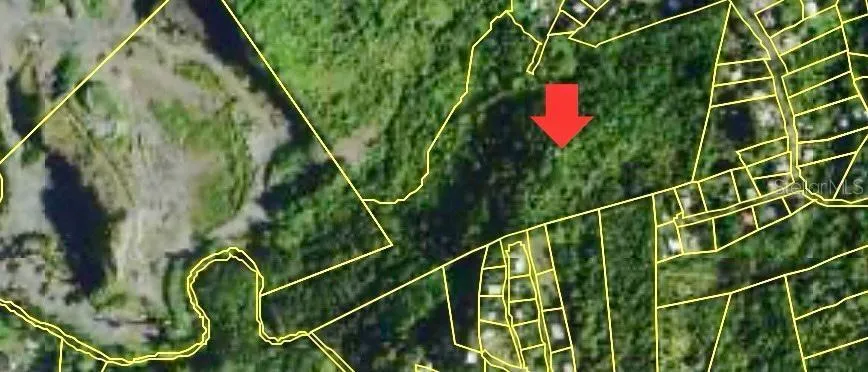 Rd. 859 Km. 1.5 BO. SANTA CRUZ Carolina, PR 00987