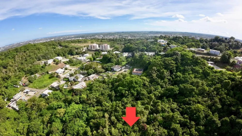 Rd. 859 Km. 1.5 BO. SANTA CRUZ Carolina, PR 00987