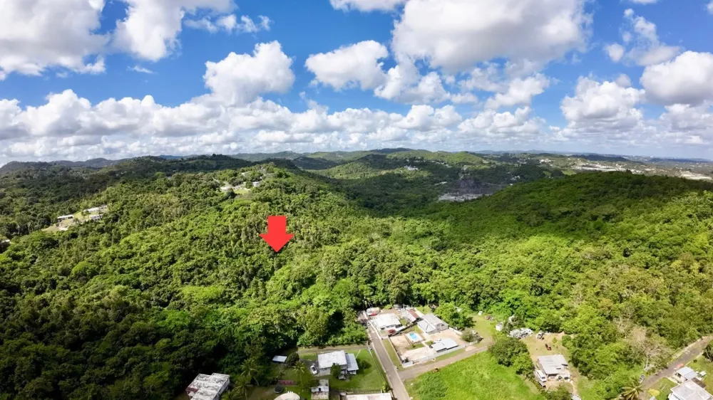 Rd. 859 Km. 1.5 BO. SANTA CRUZ Carolina, PR 00987