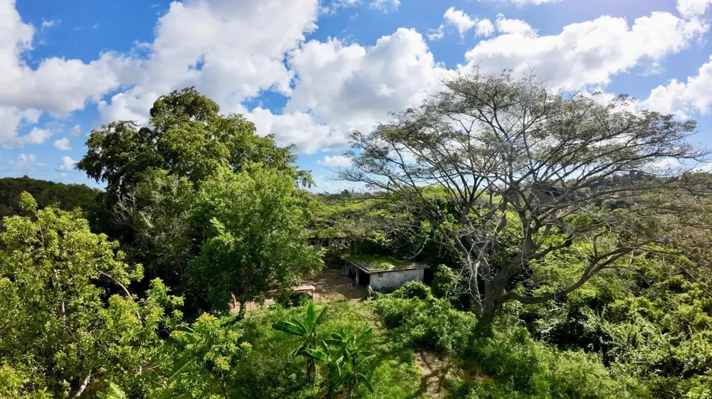 Rd. 859 Km. 1.5 BO. SANTA CRUZ Carolina, PR 00987