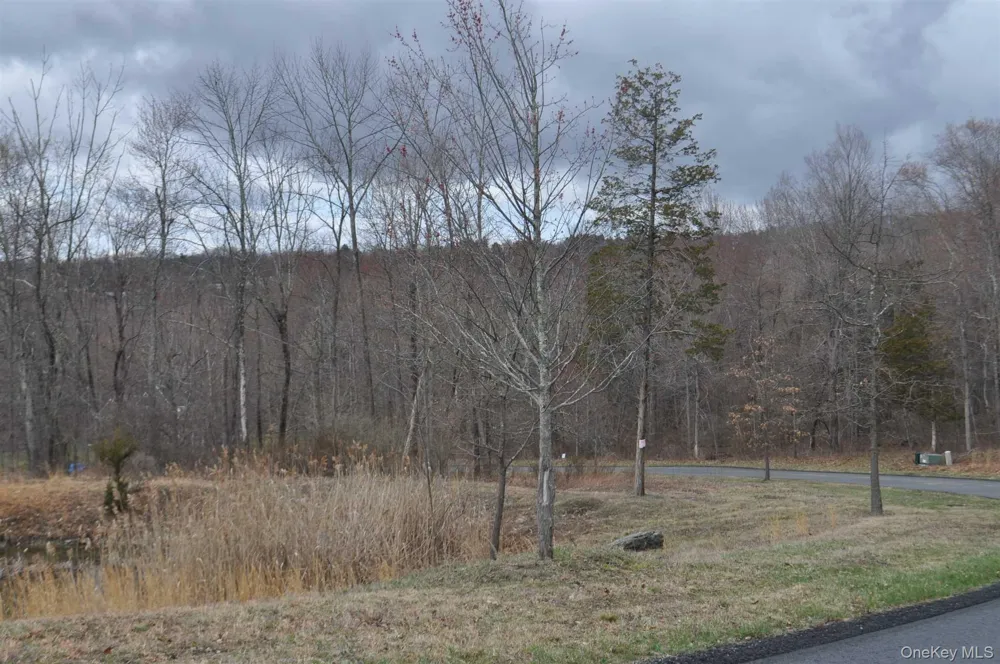 Stonecrest Lot #18 Court Hopewell Junction, NY 
