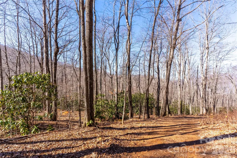 1248 Arborcrest Way #46 Swannanoa, NC 28778
