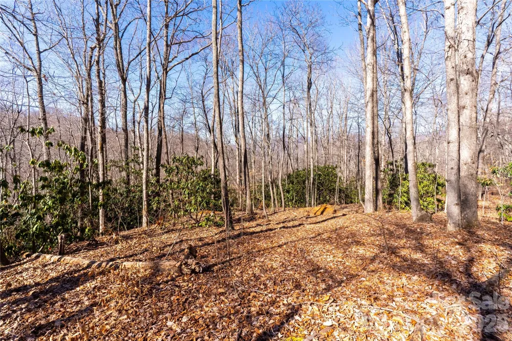 1248 Arborcrest Way #46 Swannanoa, NC 28778