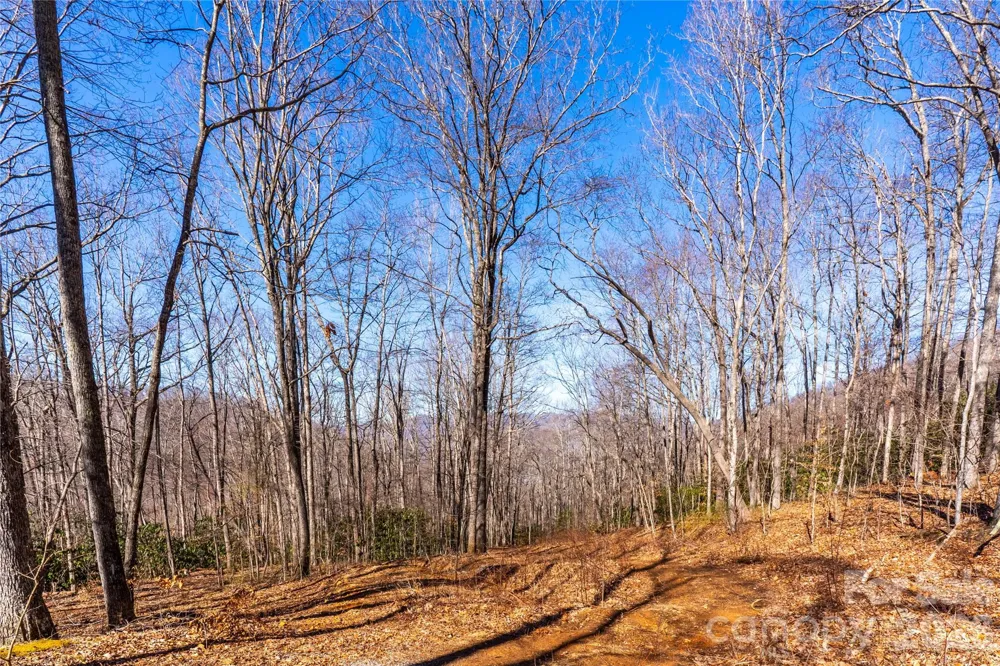 1248 Arborcrest Way #46 Swannanoa, NC 28778