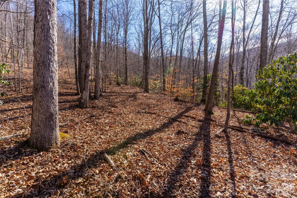 1248 Arborcrest Way #46 Swannanoa, NC 28778