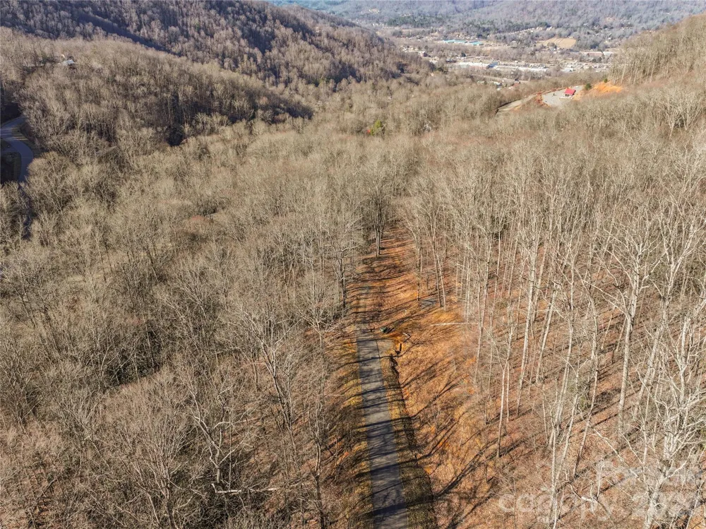 1248 Arborcrest Way #46 Swannanoa, NC 28778