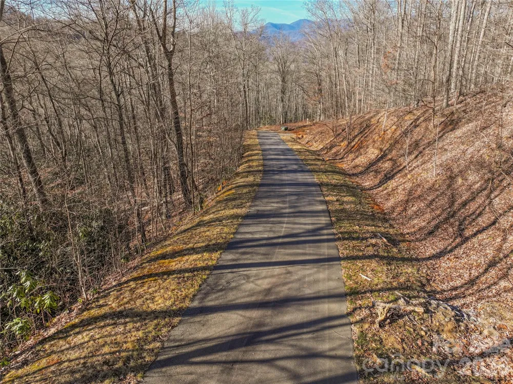 1248 Arborcrest Way #46 Swannanoa, NC 28778