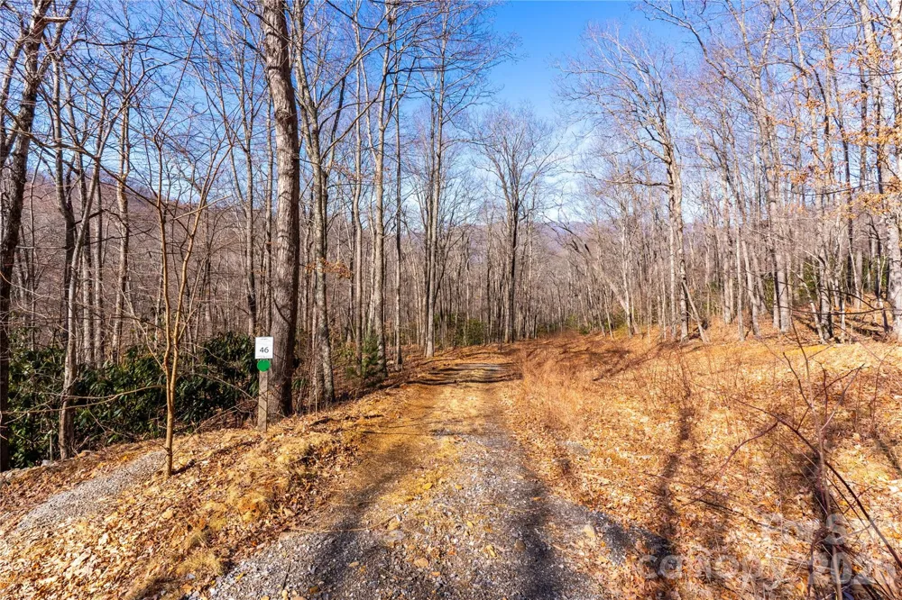 1248 Arborcrest Way #46 Swannanoa, NC 28778