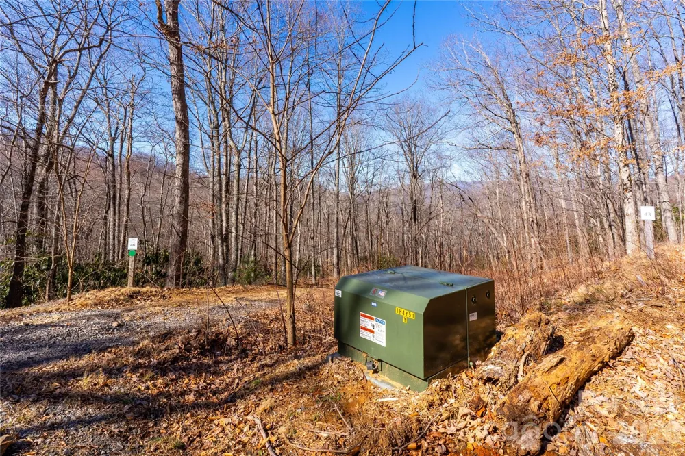1248 Arborcrest Way #46 Swannanoa, NC 28778