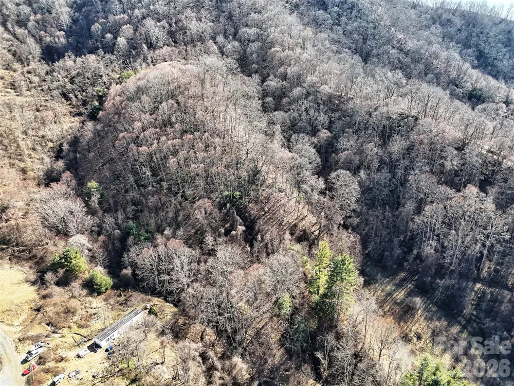 00 Wilson Cove Road Canton, NC 28716
