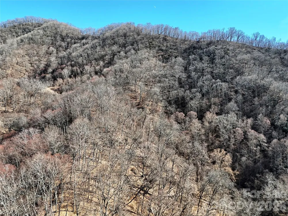 00 Wilson Cove Road Canton, NC 28716