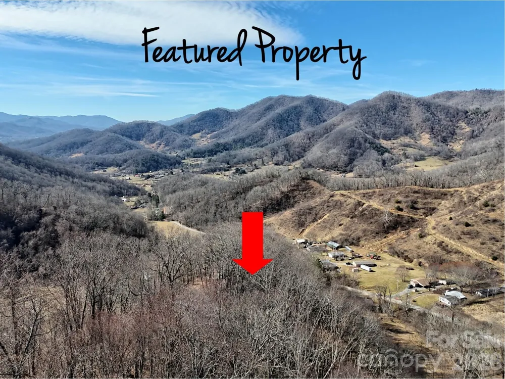 00 Wilson Cove Road Canton, NC 28716