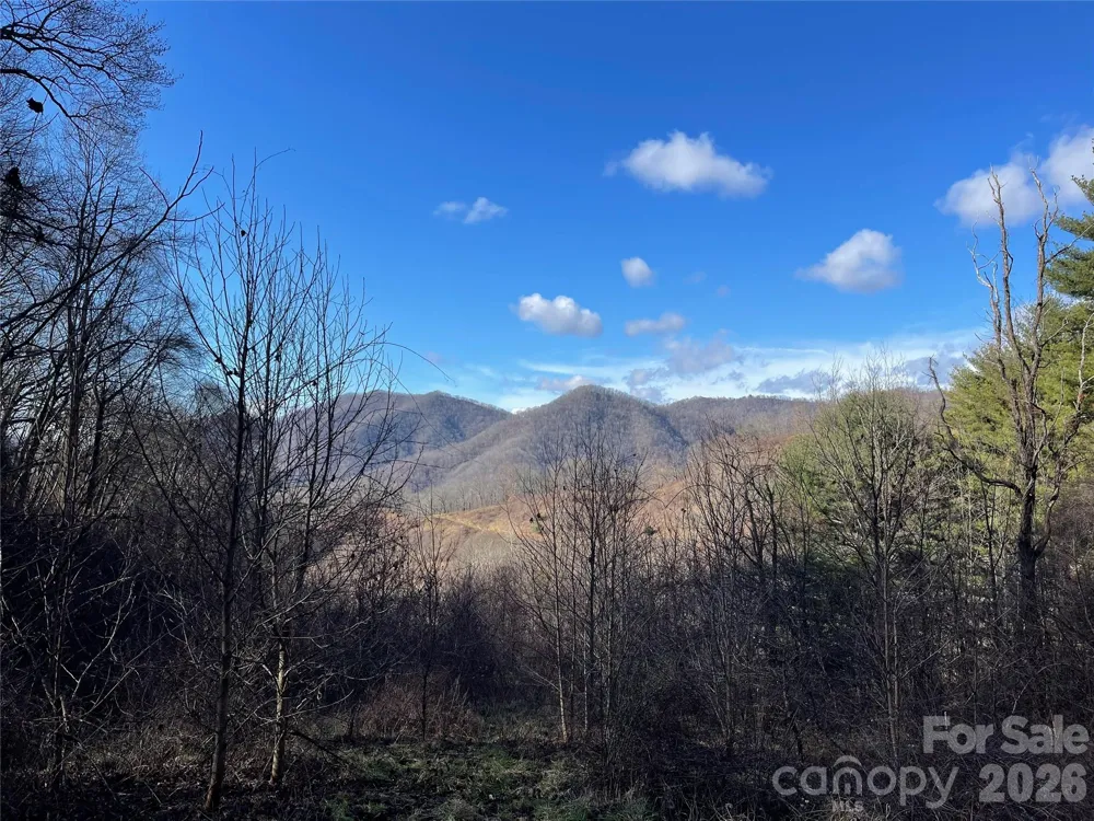 00 Wilson Cove Road Canton, NC 28716