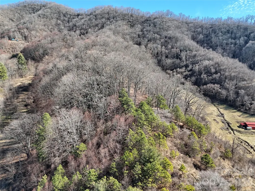 00 Wilson Cove Road Canton, NC 28716