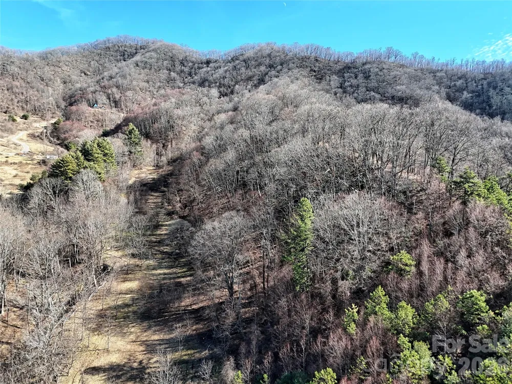 00 Wilson Cove Road Canton, NC 28716