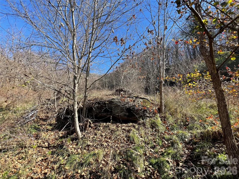 00 Wilson Cove Road Canton, NC 28716