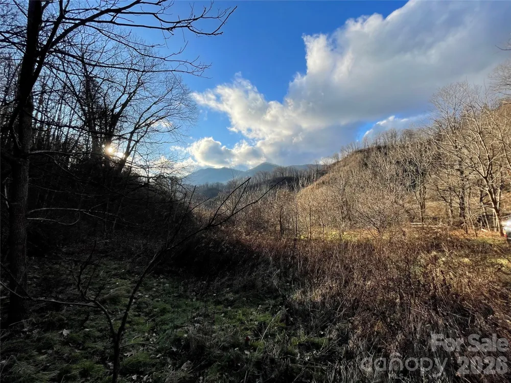 00 Wilson Cove Road Canton, NC 28716