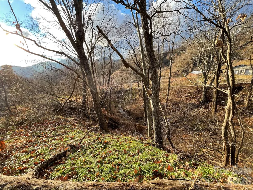 00 Wilson Cove Road Canton, NC 28716