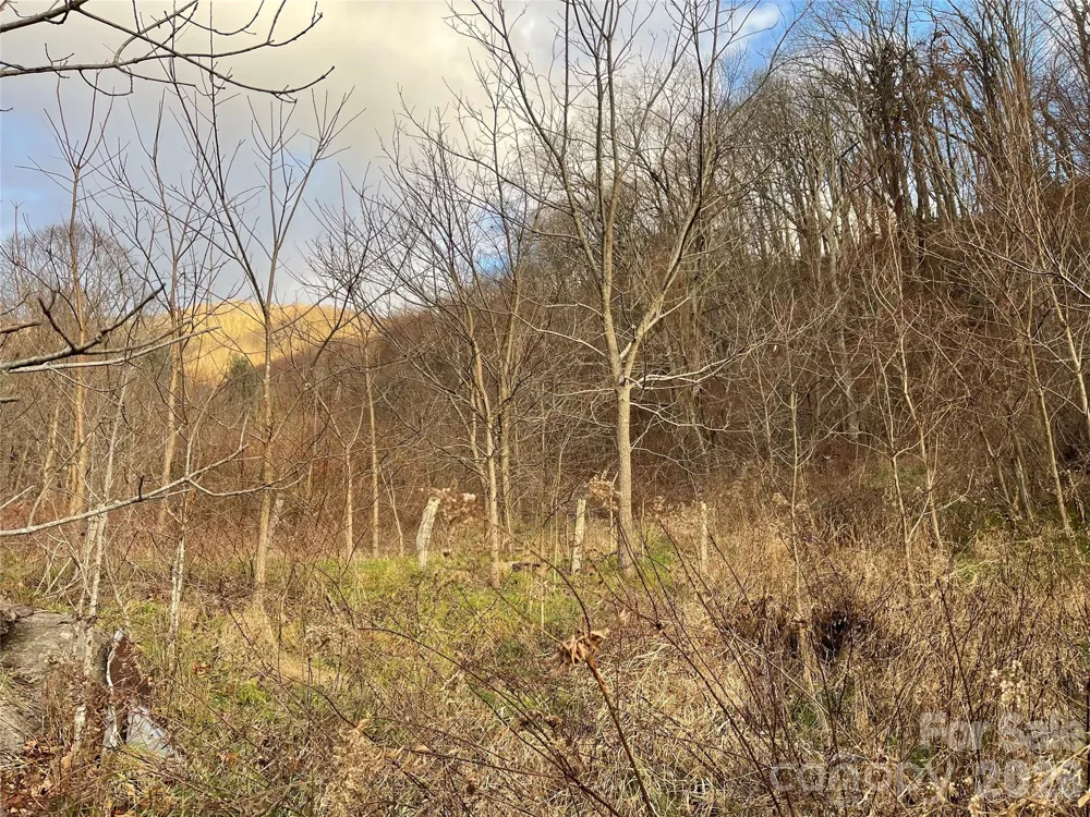 00 Wilson Cove Road Canton, NC 28716