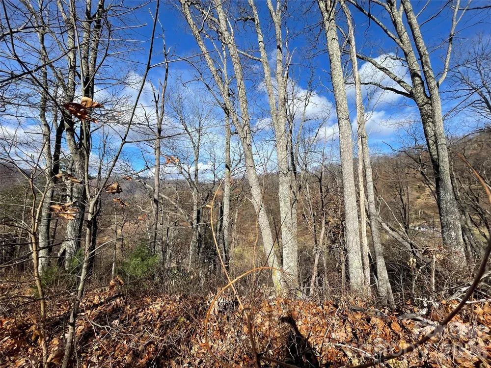 00 Wilson Cove Road Canton, NC 28716