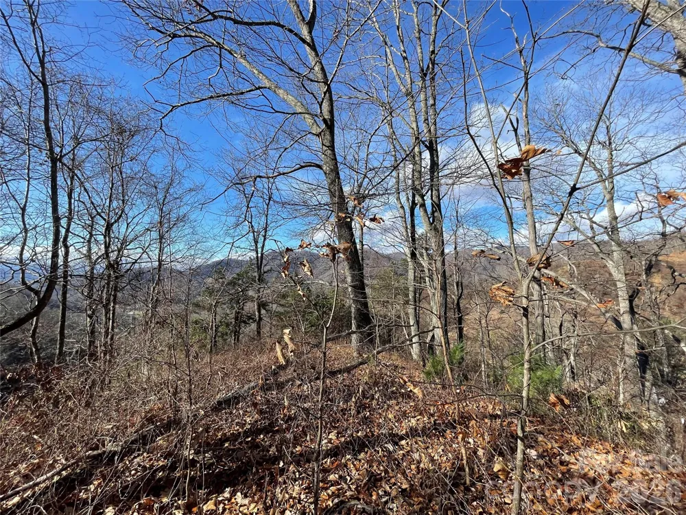 00 Wilson Cove Road Canton, NC 28716