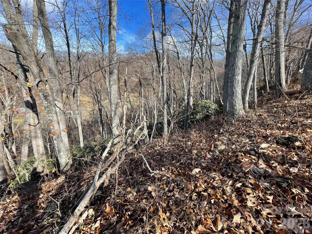 00 Wilson Cove Road Canton, NC 28716