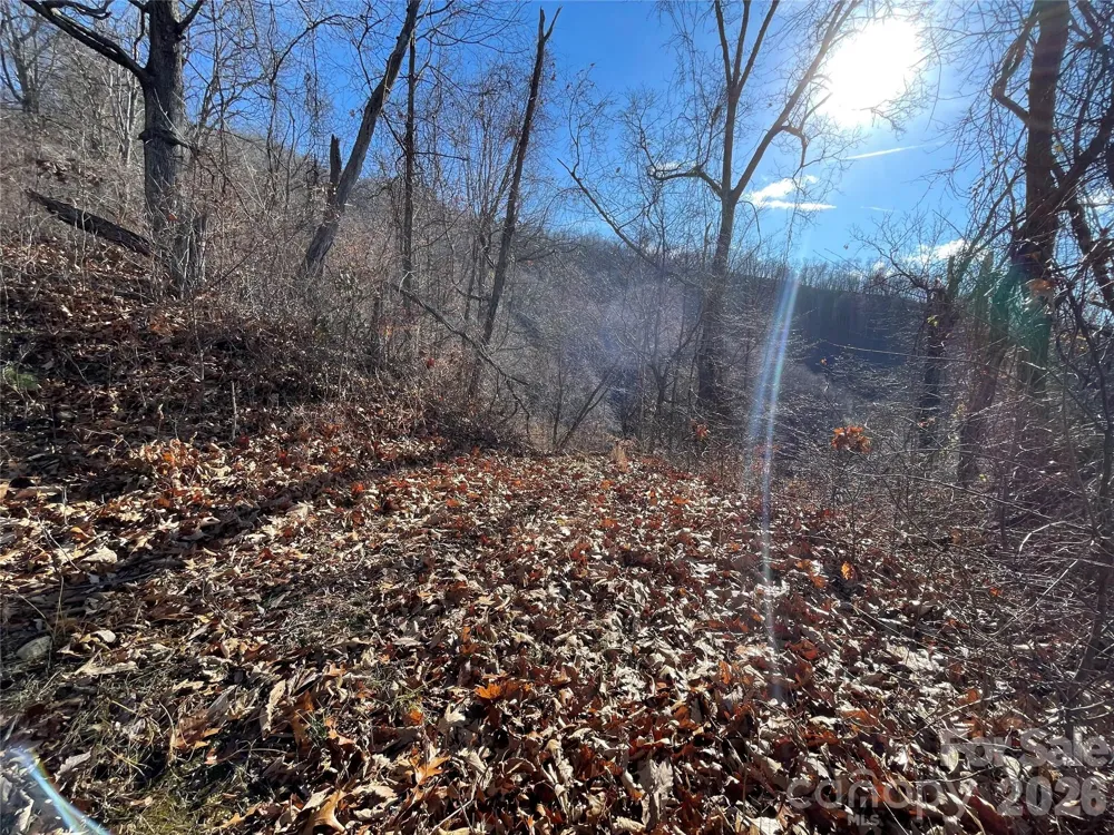 00 Wilson Cove Road Canton, NC 28716